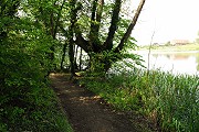 Auf dem Rundweg am See in Grünow - Bild anklicken zum Vergrößern (93 kByte)